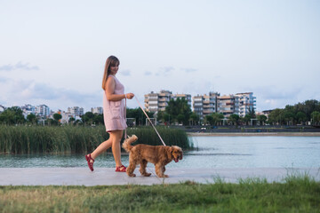 Woman is walking with cocker spaniel dog
