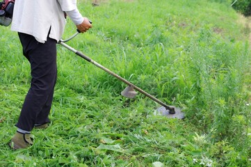 農地の草刈り作業をする男性