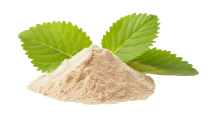 Slippery elm isolated on white background