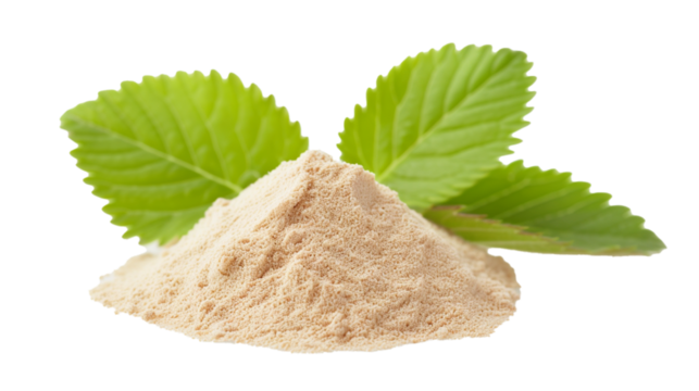 Slippery elm isolated on white background