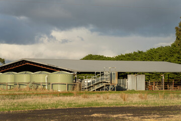 cattle yards on farm with a roof with plastic water tanks around them in australia