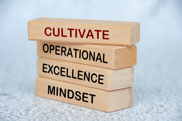 Cultivate operational excellence mindset text on wooden blocks. Operational excellence concept