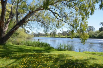 Ecological Reserve of Goleta Slough near Santa Barbara