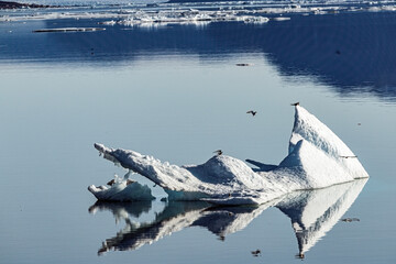 Iceberg floating in Greenland