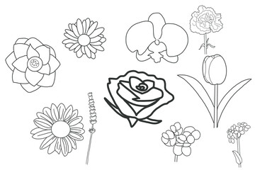 flower Carnation Forget me not Hydrangeas Lavender Lotus Rose Sunflower Orchid Tulip Daisy  doodle organic line cute hand drawn 
