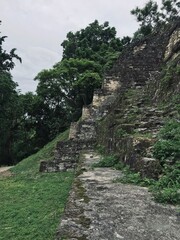 The ancient city of maya Tikal