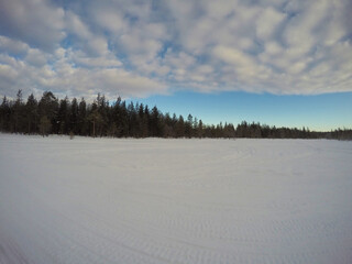 Snowy background with naked trees and big clouds