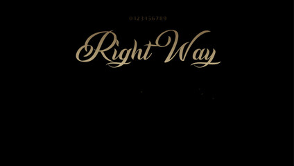 Right Way premium luxury elegant alphabet letters and numbers. Vintage wedding typography classic serif font decorative vintage concept. Creative vector illustration