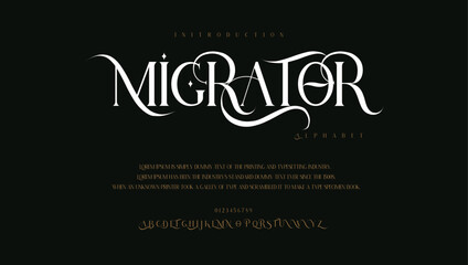 Migrator premium luxury elegant alphabet letters and numbers. Vintage wedding typography classic serif font decorative vintage concept. Creative vector illustration
