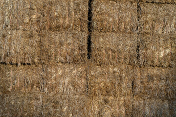 Managing Big Square Bales on Australian Farms for Sustainable Agriculture and Livestock Feed in...