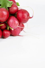 Bunch of ripe fresh gathered radish with green leaves isolated on white background. A bundle of raw radishes to sell. Delicious veggie snack. Farm harvest vegetables. Empty copy space. Selective focus
