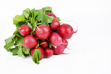Bunch of ripe fresh gathered radish with green leaves isolated on white background. A bundle of raw radishes to sell. Delicious veggie snack. Farm harvest vegetables. Empty copy space. Selective focus