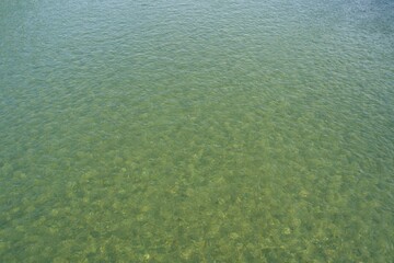 Water surface of Niyodo River