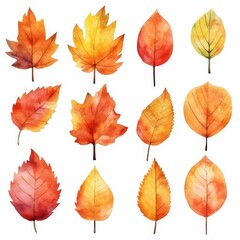 Fototapeta premium Watercolor Autumn Leaves Sublimation Clipart