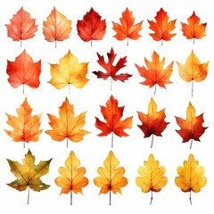 Obraz premium Watercolor Autumn Leaves Sublimation Clipart