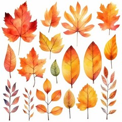 Obraz premium Watercolor Autumn Leaves Sublimation Clipart