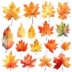 Watercolor Autumn Leaves Sublimation Clipart