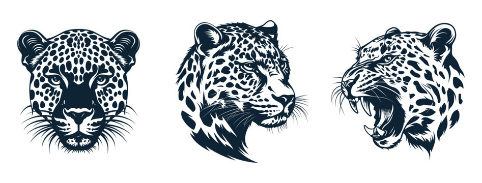 Black and white leopard head set. Front view. Side view. With closed and opened mouth. Wild feline preditor logo. Safari animal. Isolated vecor clipart on white background