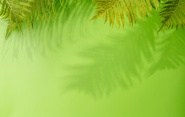 Template with empty table and wall with leaves shadow