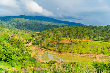 High-altitude landscape.
Highlands, the road to Dalat in Vietnam. 