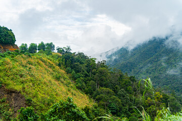 High-altitude landscape.
Highlands, the road to Dalat in Vietnam. 