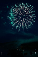  Beautiful fireworks in the night sky #37
