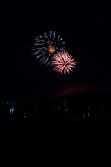  Beautiful fireworks in the night sky #34