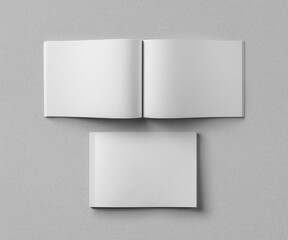 3D Illustration. Book and magazine mockup isolated on background.