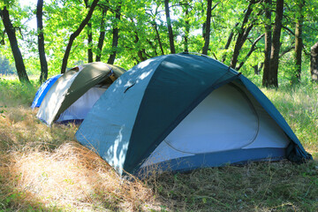 tents in morning forest camp