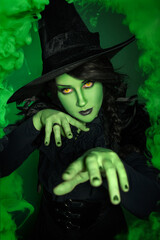 Green witch, bad witch, halloween, costume, cosplay, fantasy, witchcraft