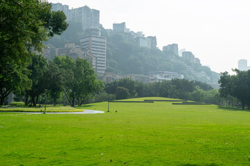 Obraz premium Fine weather and the lawn in the park