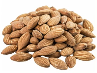 Obraz premium Food isolated seed brown fruit closeup of an almond nut food that is healthy organic by nature, nutrition group