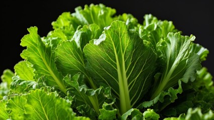  Vibrant green leafy vegetable closeup