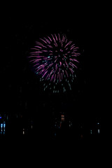  Beautiful fireworks in the night sky #44