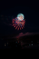  Beautiful fireworks in the night sky #42