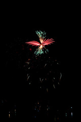  Beautiful fireworks in the night sky #59