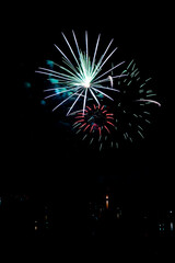  Beautiful fireworks in the night sky #50
