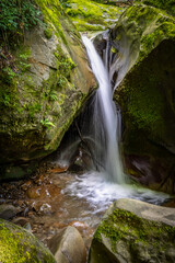 mountain waterfall , A mountain stream flows past green mossy rocks, 