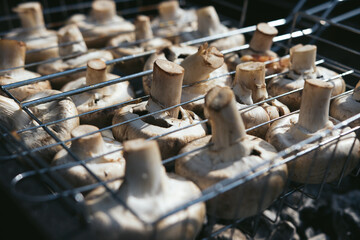 Close-up of grilled champignon mushrooms on the rack on a barbecue. Vegan concept. Space for text