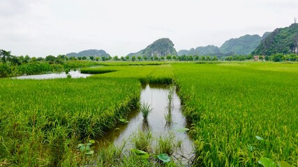 Die sog. Trockene Halong Bucht bei Ninh Binh in Vietnam