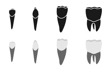 tooth or teeth icon set vector illustration isolated on white background.