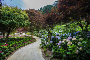 Flower blossom at Sun Link Xi