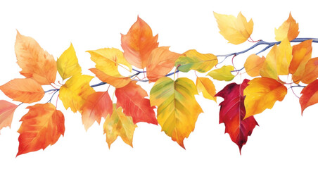 PNG Autumn leave backgrounds leaves plant.