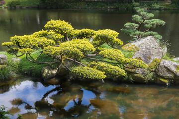 the eastern park of Maulevrier