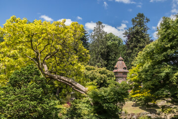 Naklejka premium the eastern park of Maulevrier
