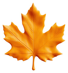 Fototapeta premium PNG Maple leaf plant tree white background.