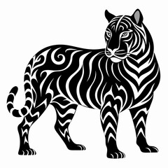 tiger vector and illustration