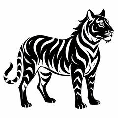 tiger vector and illustration