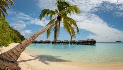 Obraz premium Panoramic view of an idyllic tropical beach with a leaning palm tree and overwater bungalows in the distance