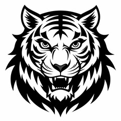 tiger vector and illustration